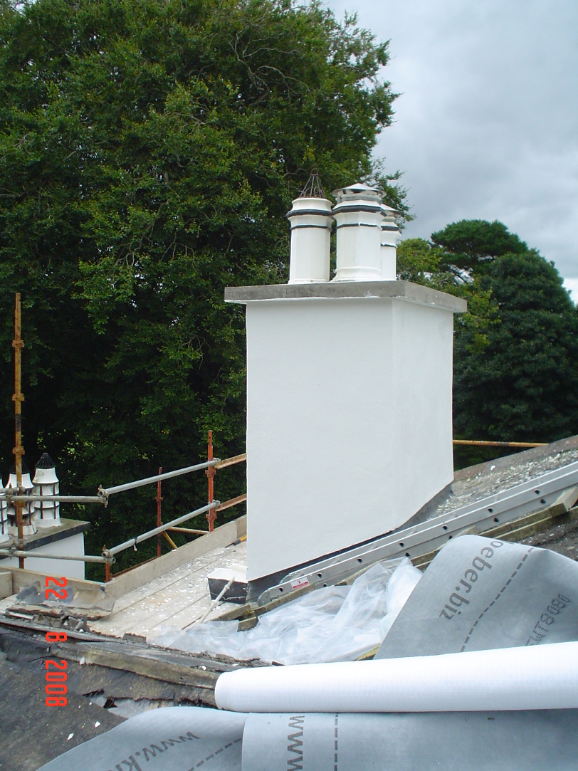 Roof & Chimney repairs